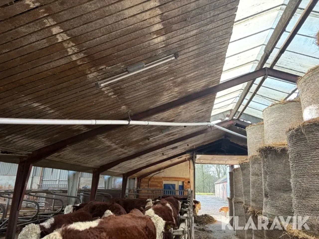 Billede 1 - Fodersnegl