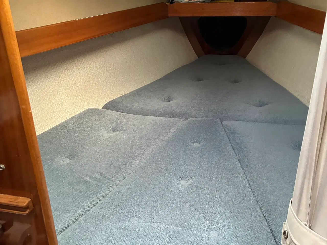 Billede 8 - Blue Dane 32