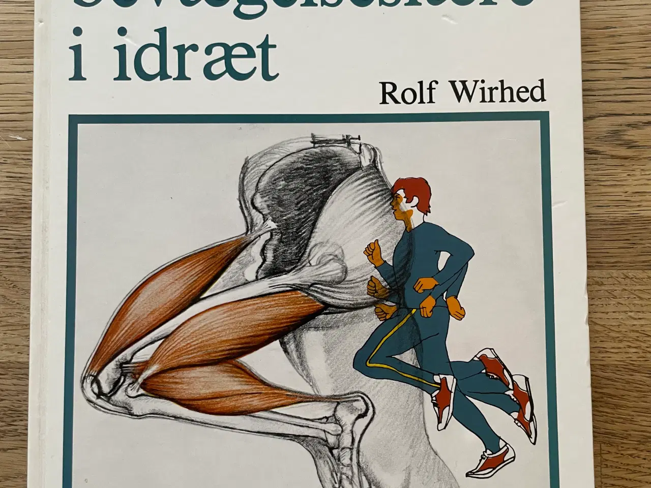 Billede 1 - Anatomi og bevægelseslære i idræt, Rolf Wirhed