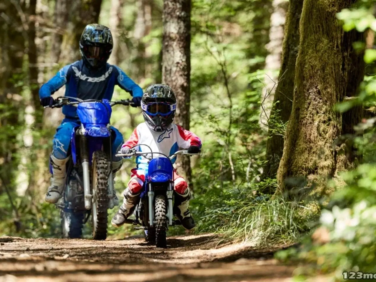 Billede 5 - Yamaha PW 50