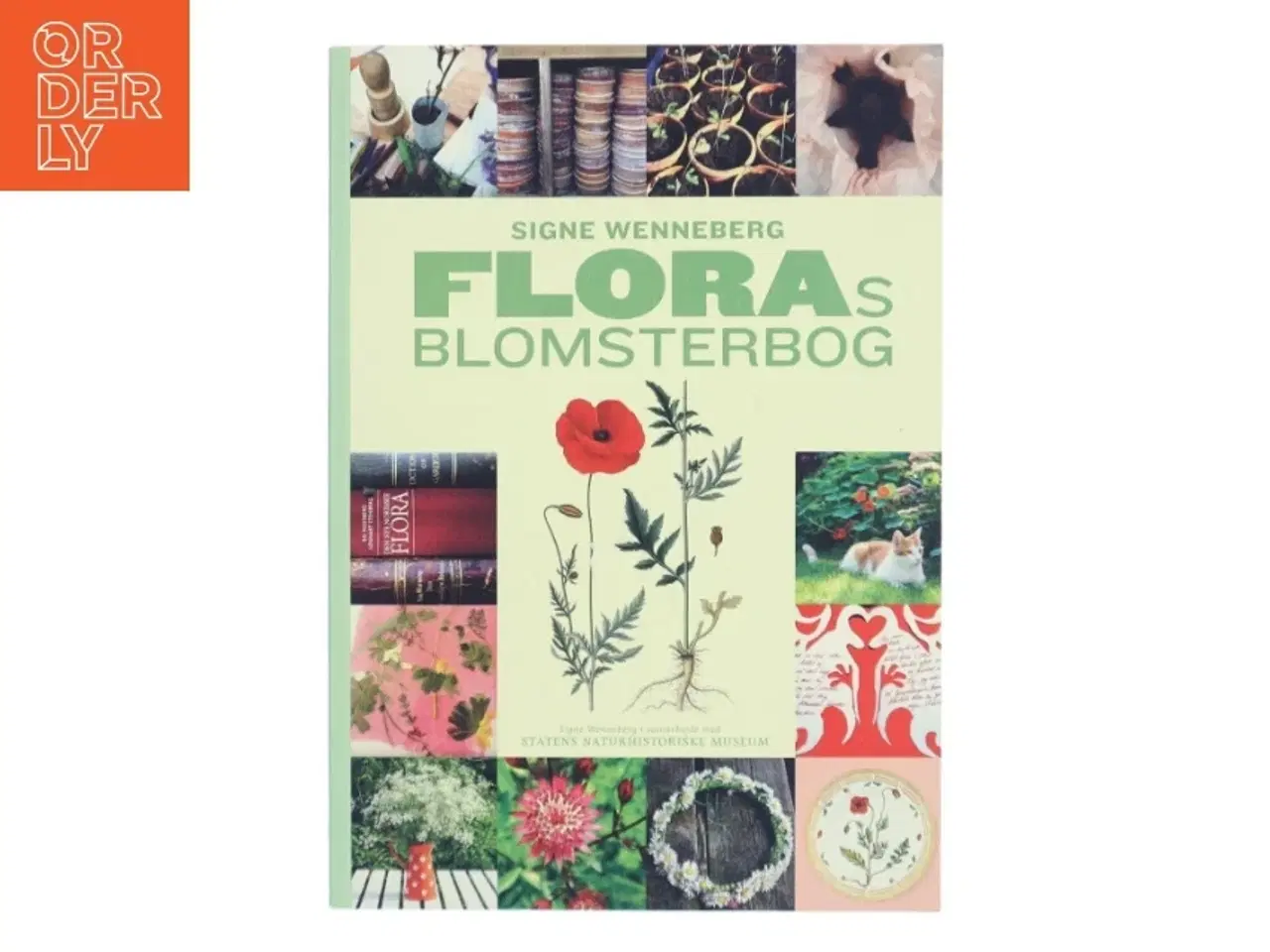 Billede 1 - Floras Blomsterbog af Signe Wenneberg (Bog)