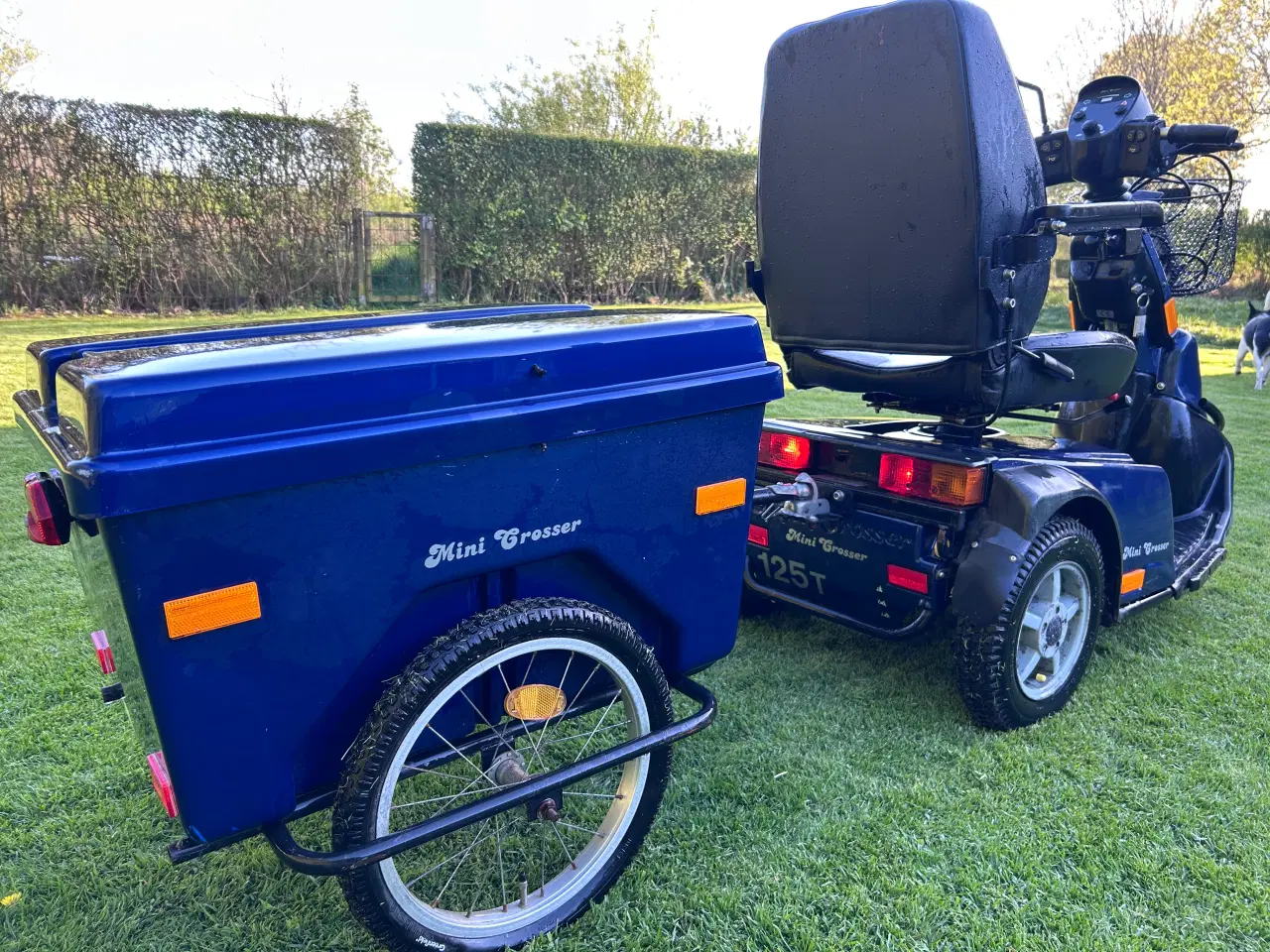 Billede 5 - El scooter mini crosser dansk produceret 