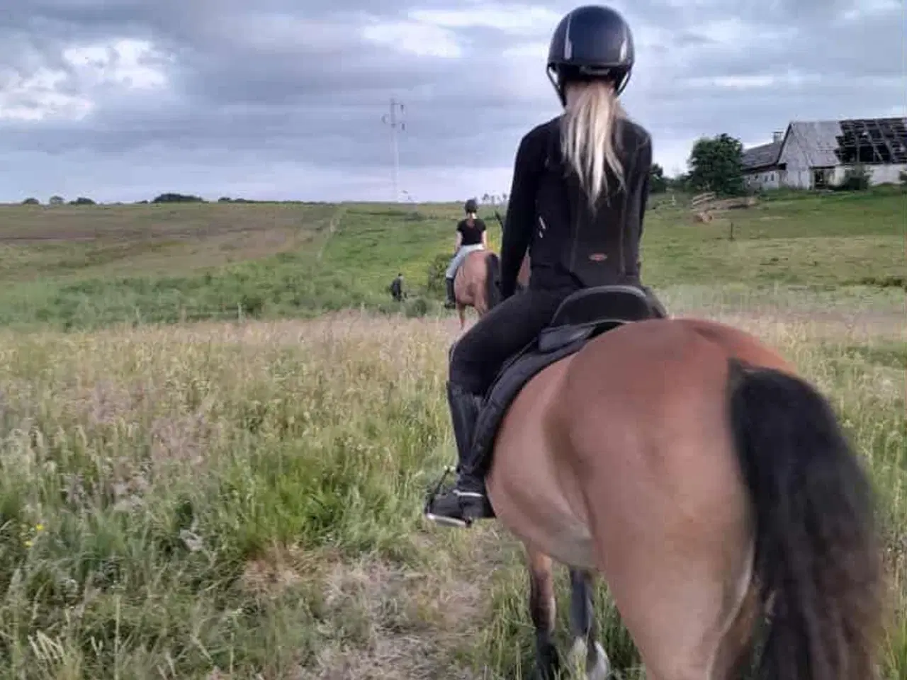 Billede 11 - børnepony /Næsten begynder pony / bytte