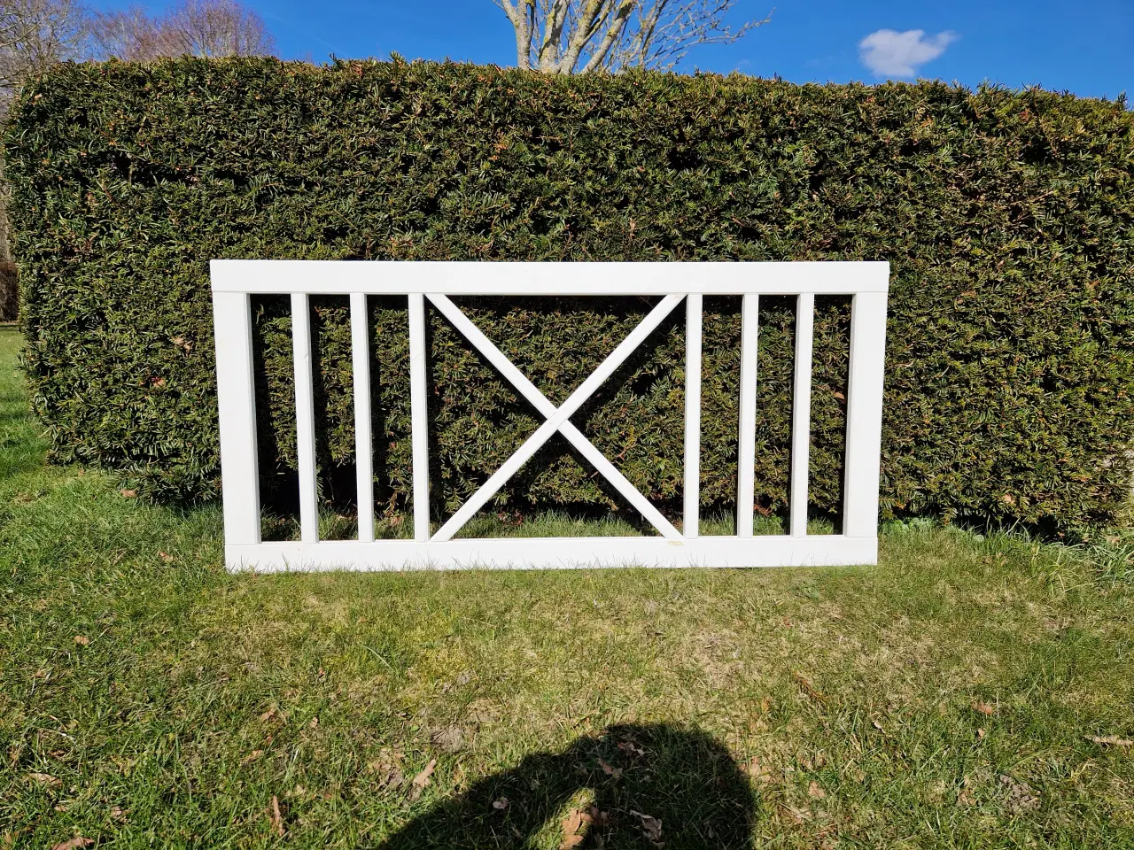 Billede 1 - Havehegn