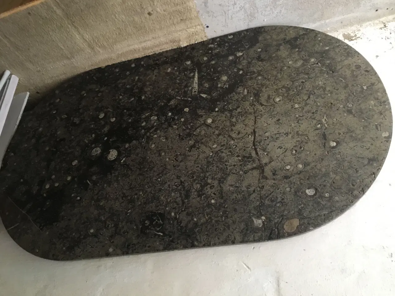 Billede 7 - Atlantic ægte fossile Sten - Bord  helt unik.