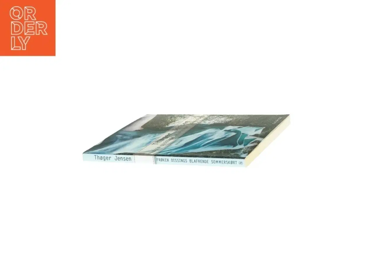 Billede 3 - Frøken Dissings blafrende sommerskørt - af Thøger Jensen