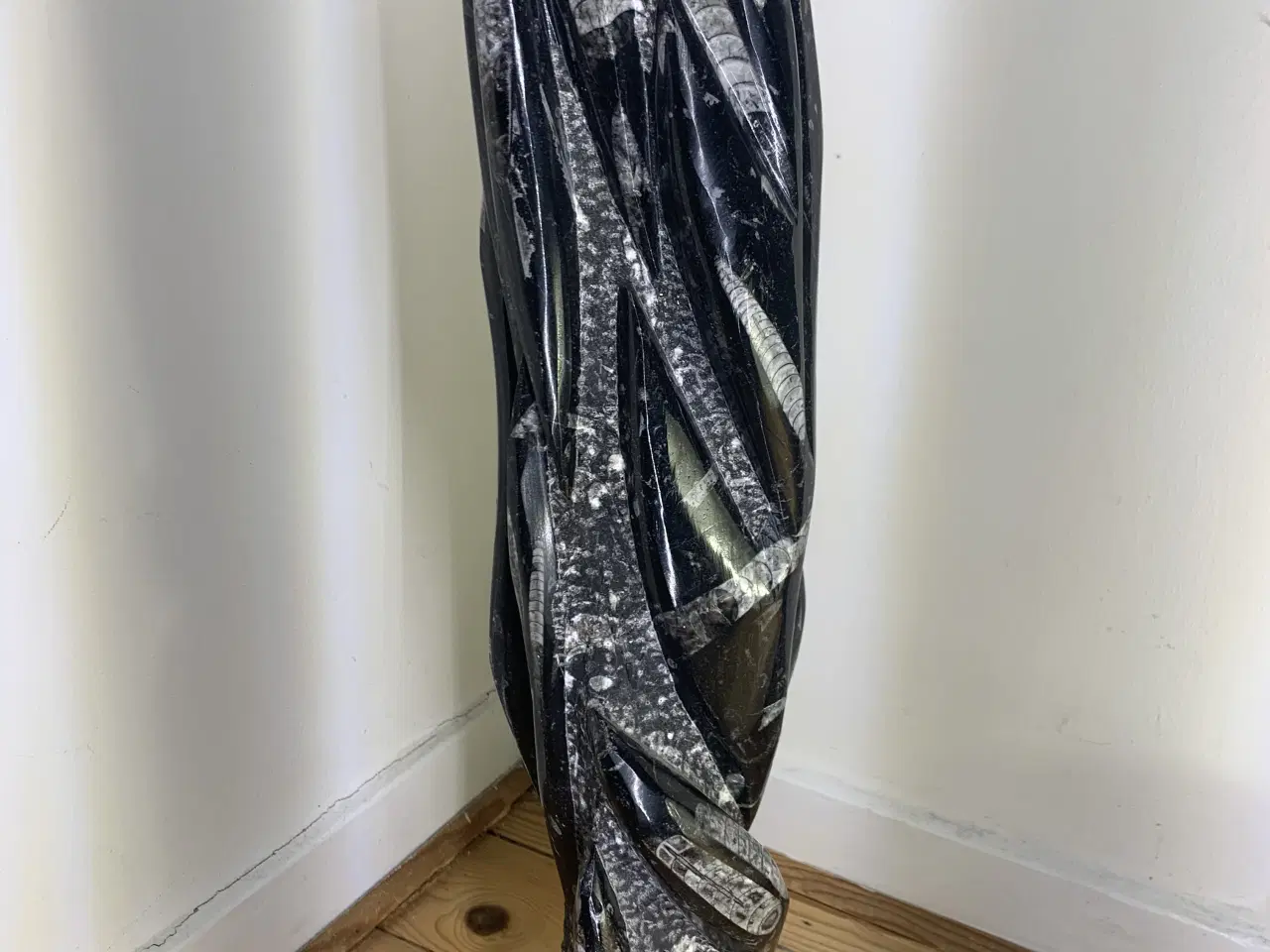 Billede 4 - Unik og meget gammel fossilsten – sjældent fund