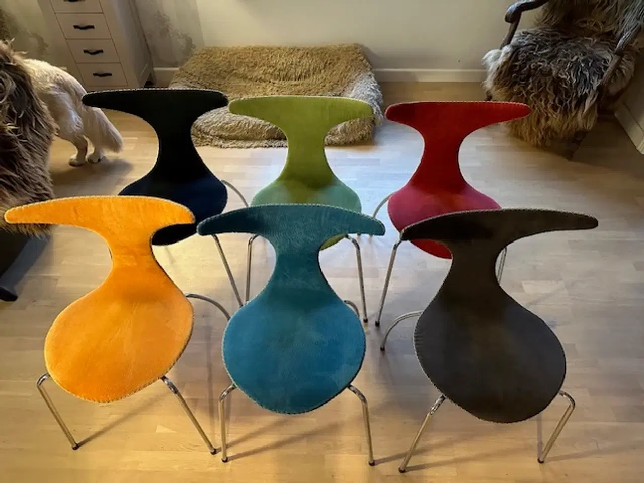 Billede 4 - Forskelligt Farvede Spisestuestole