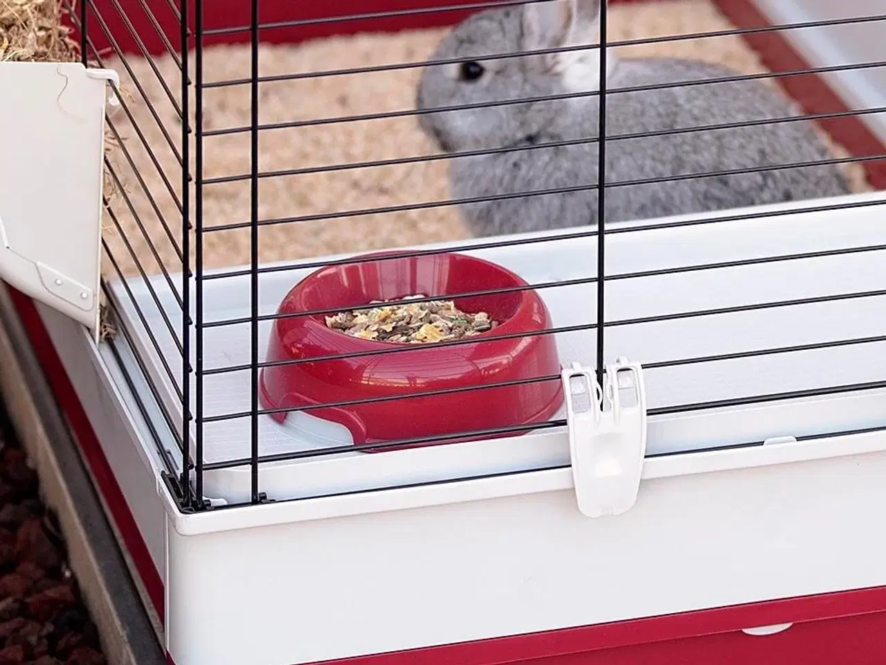 Billede 9 - Kaninbur FERPLAST Krolik 140 Plus – sammenklappeligt bur med hus