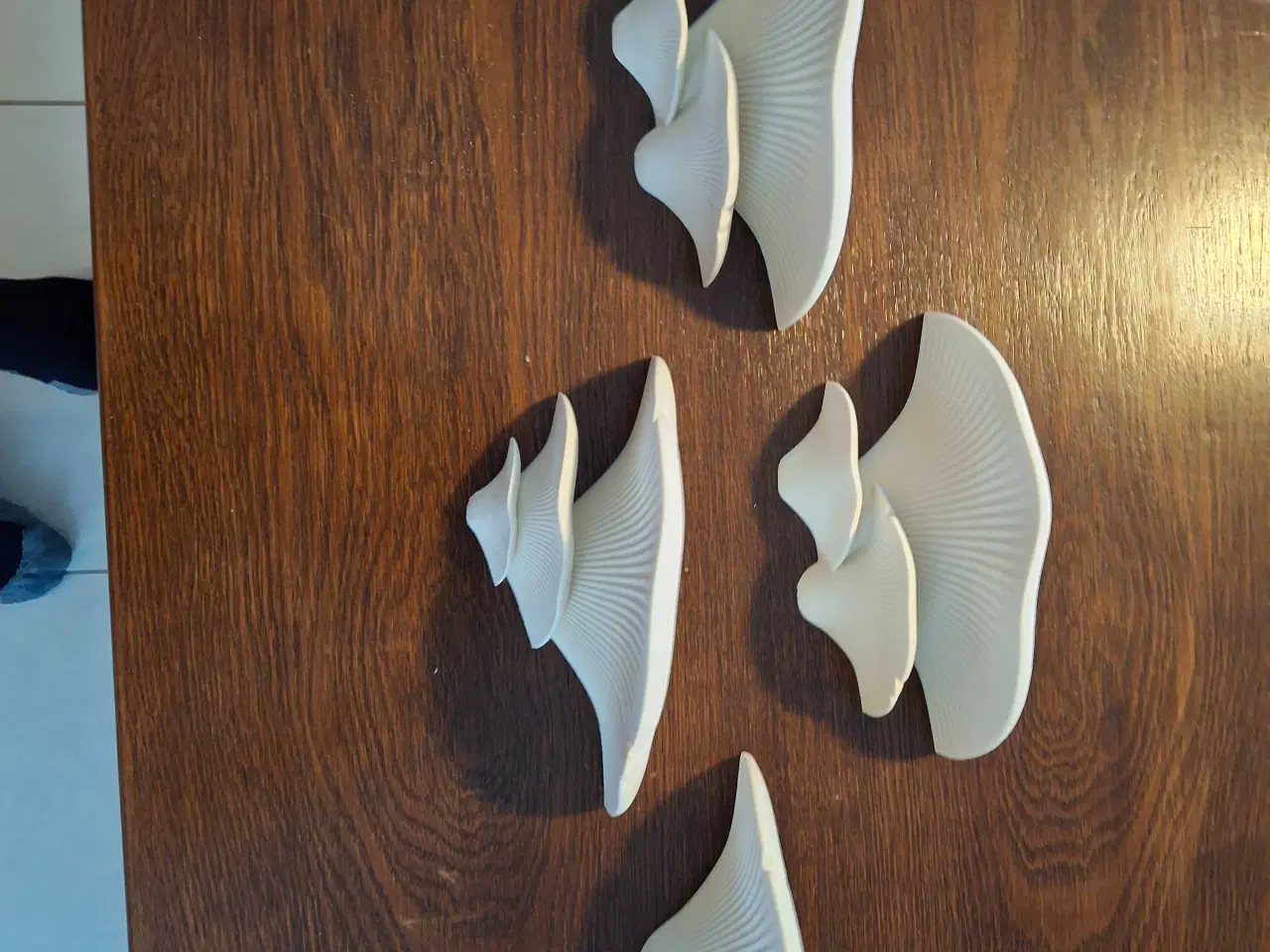 Billede 1 - Svampe hylder 