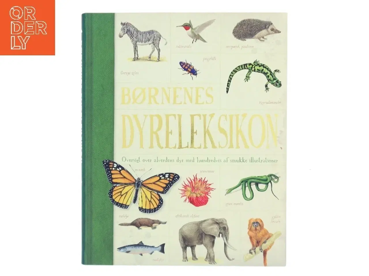 Billede 1 - Børnenes dyreleksikon (Bog)