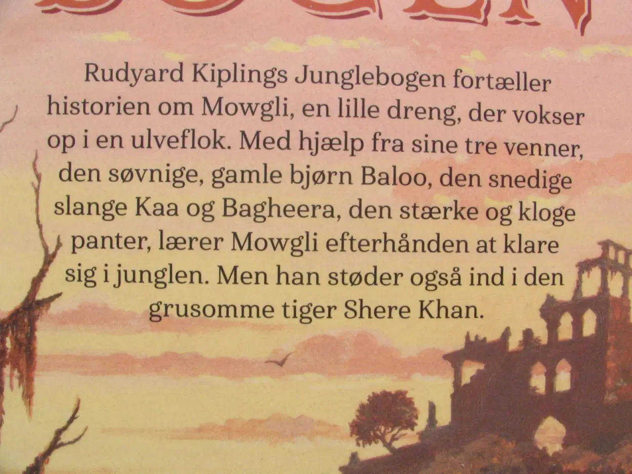 Billede 2 - 2 stk Illustrerede klassikere fra 2019