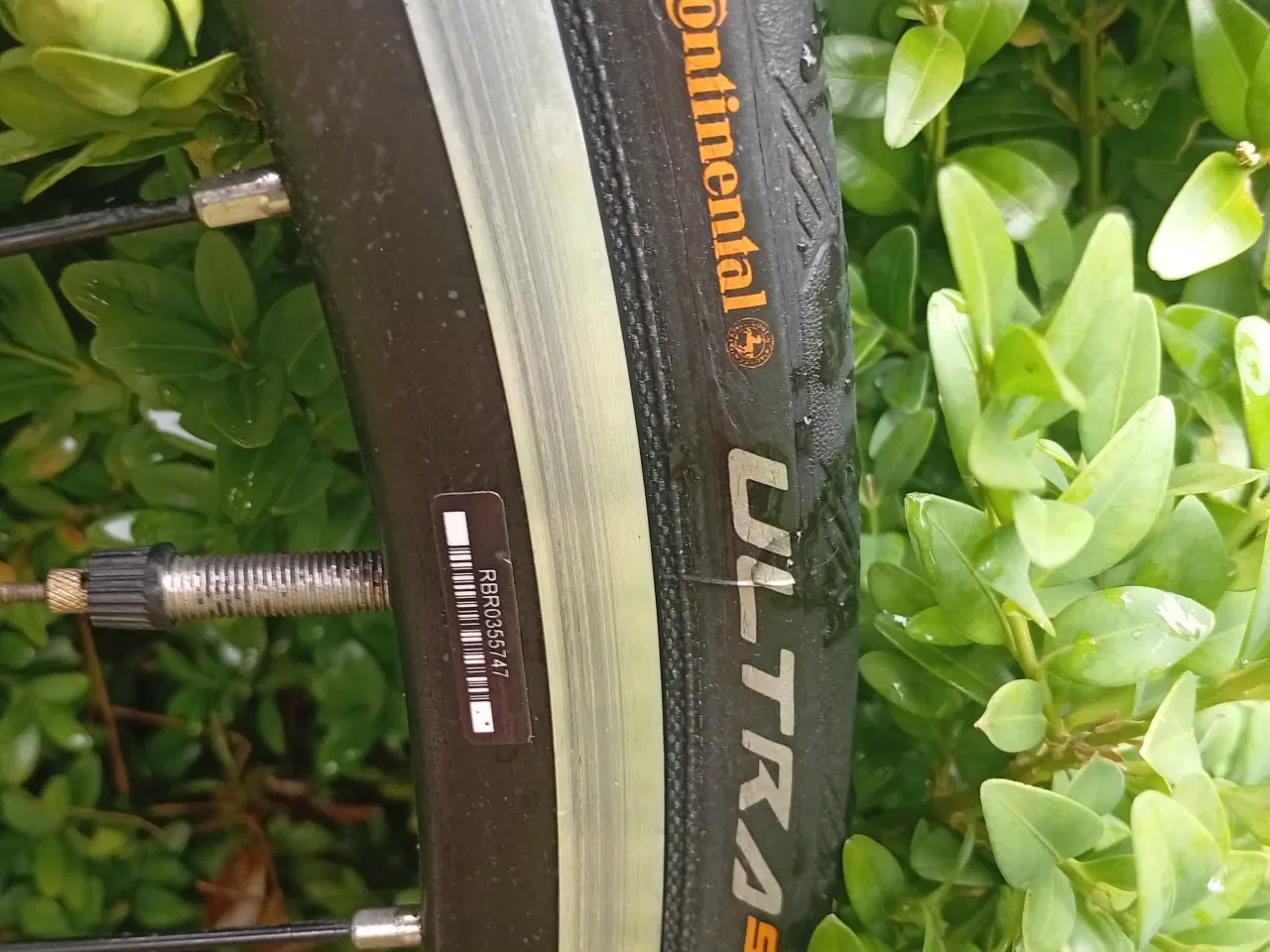 Billede 5 - højkvalitets racercykel CARBON fra KUOTA like new