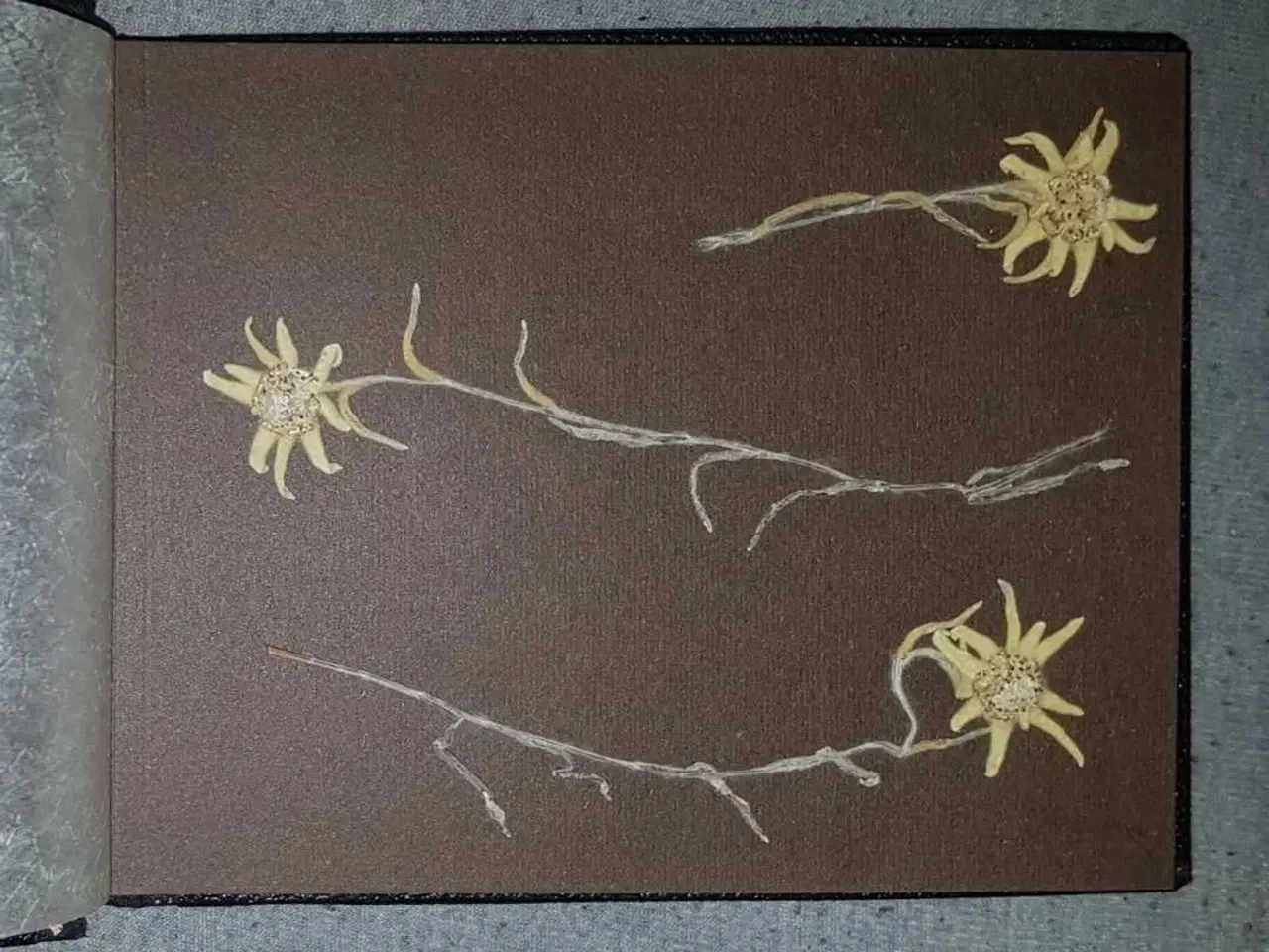 Billede 3 - Fotoalbum fra Østrig