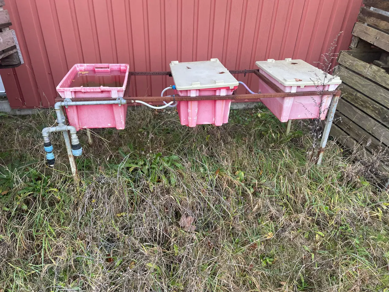 Billede 1 - Drikkeautomat til høns og kyllinger.