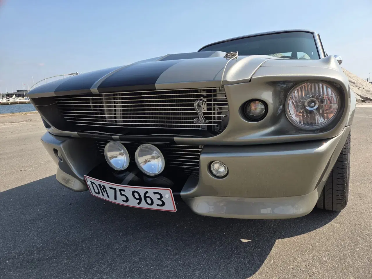 Billede 2 - Ford Mustang 7,0 Shelby GT500R Coupé