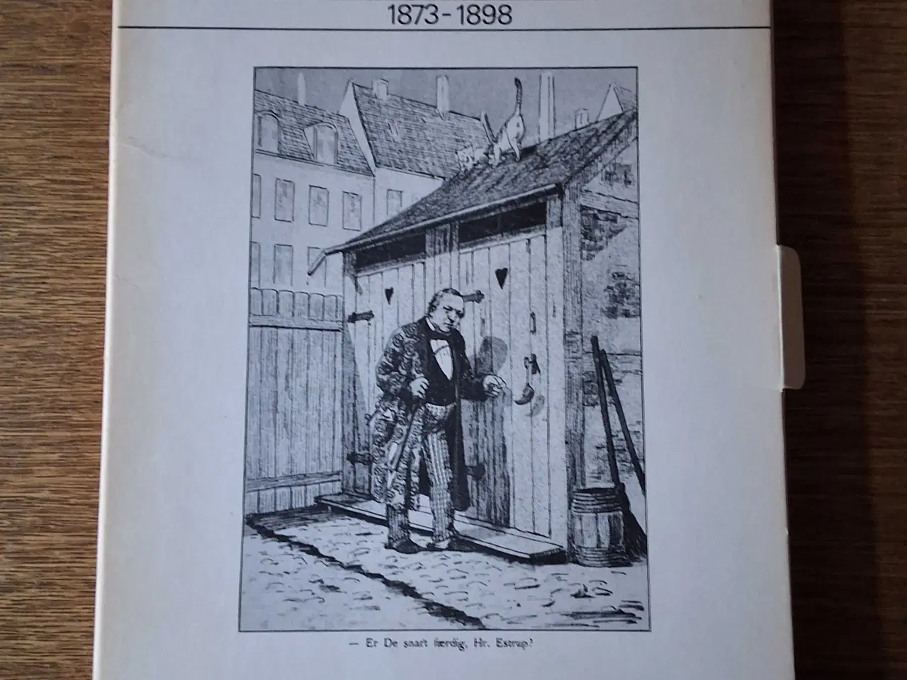 Billede 4 - HISTORIEN I AVISEN, fra 1851 til 1924