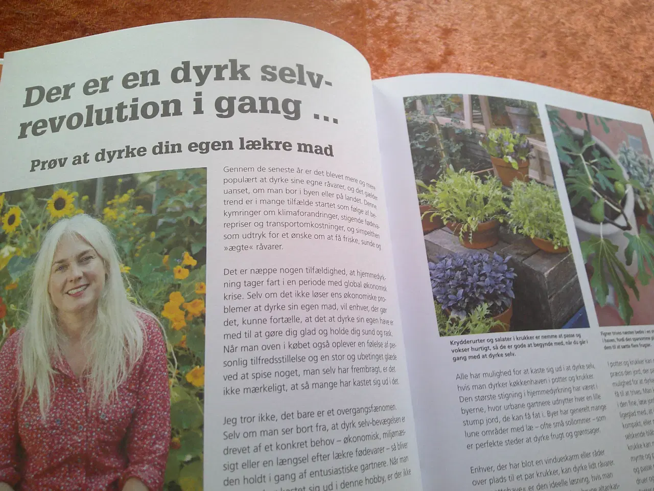 Billede 4 - Dyrk din køkkenhave i krukker, Kay Maguire