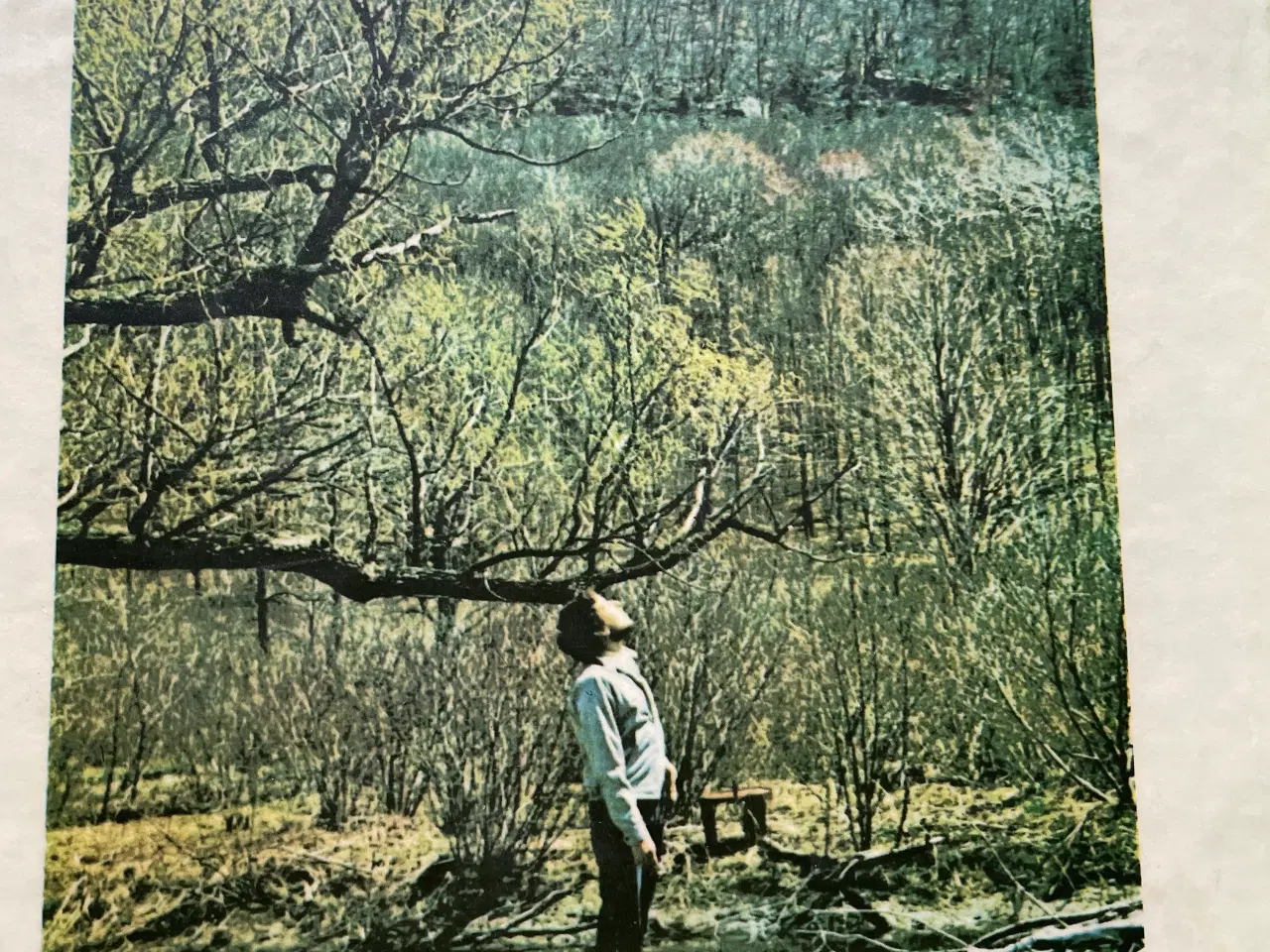 Billede 5 - Bob Dylan Self Portrait & Under the red sky noder