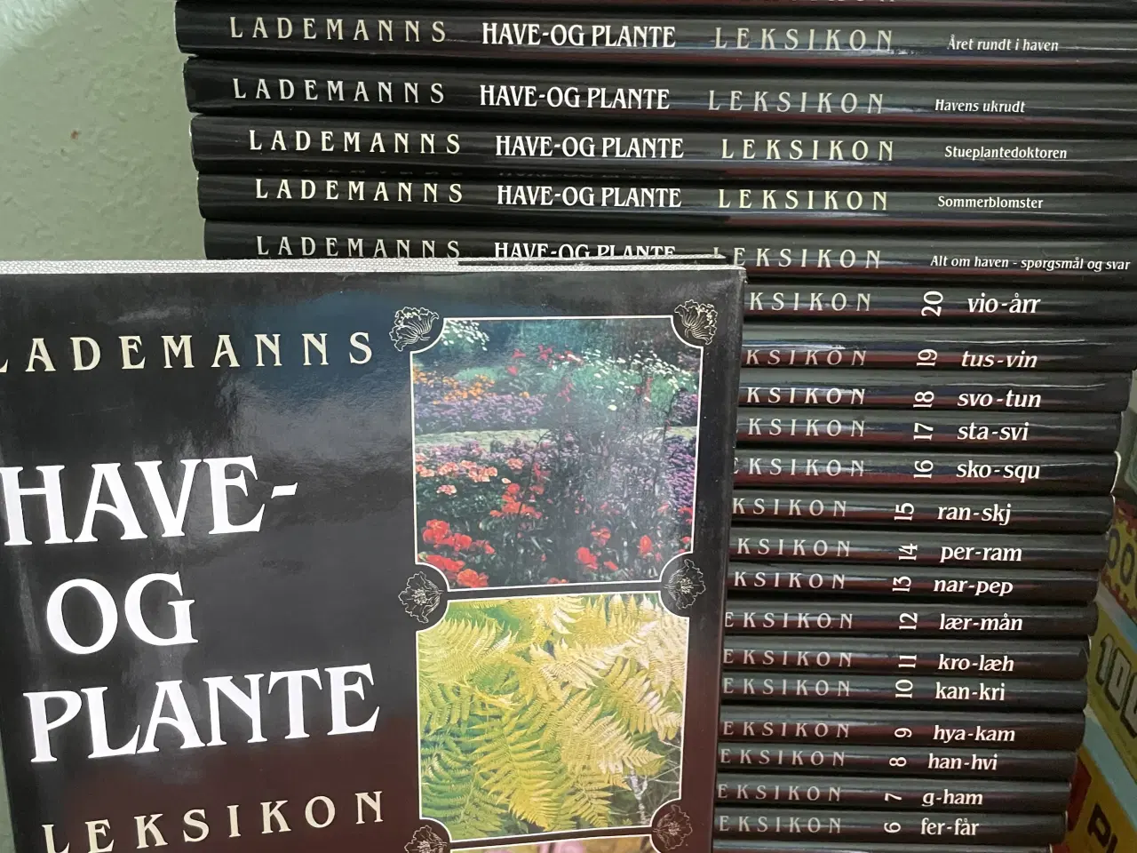 Billede 1 - Haveleksikon 