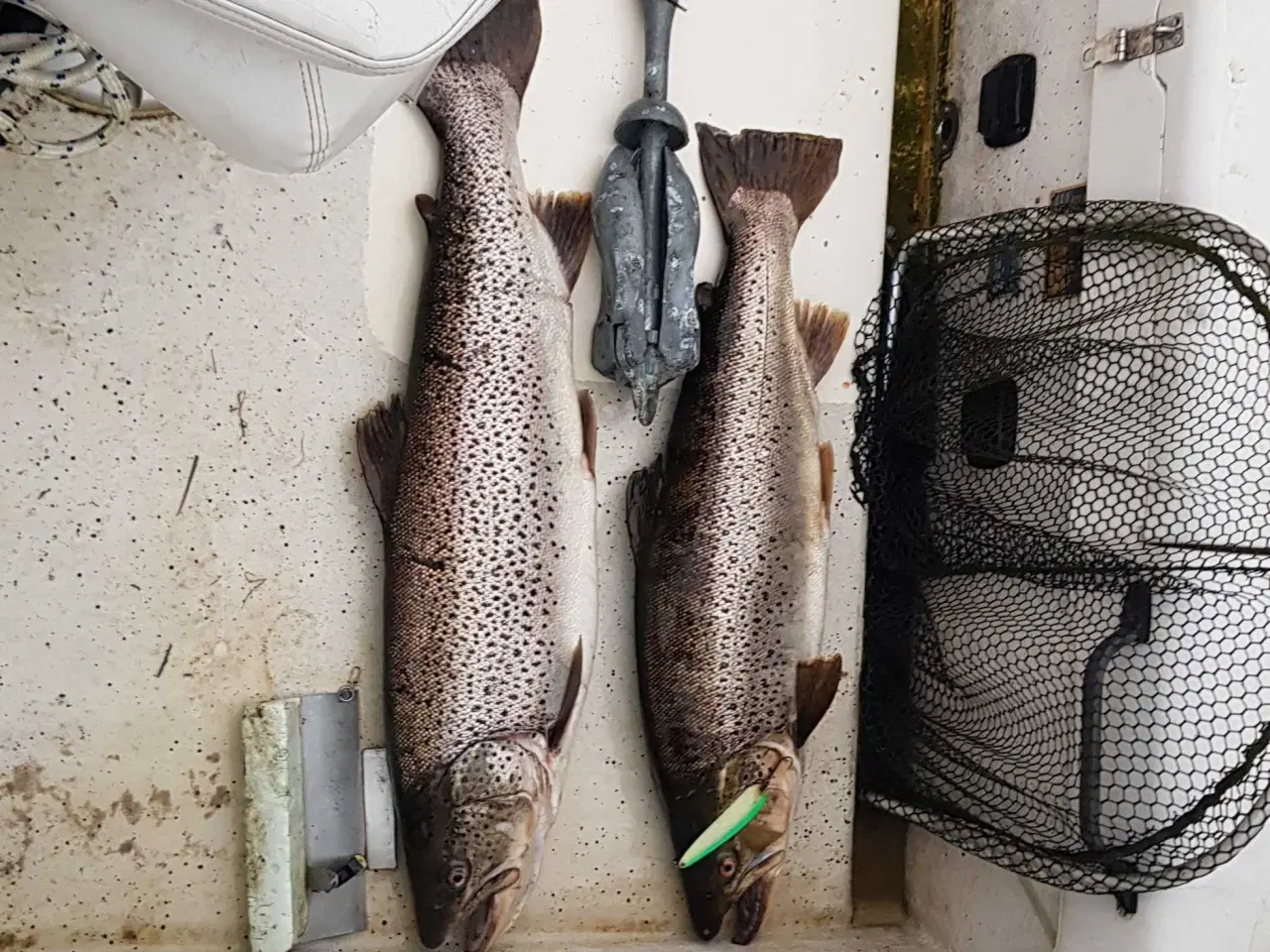 Billede 9 - Dory Dell Quay trollingbåd m. styrepult