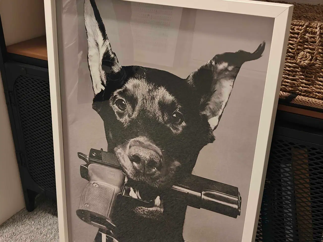 Billede 4 - Dior Dog plakat