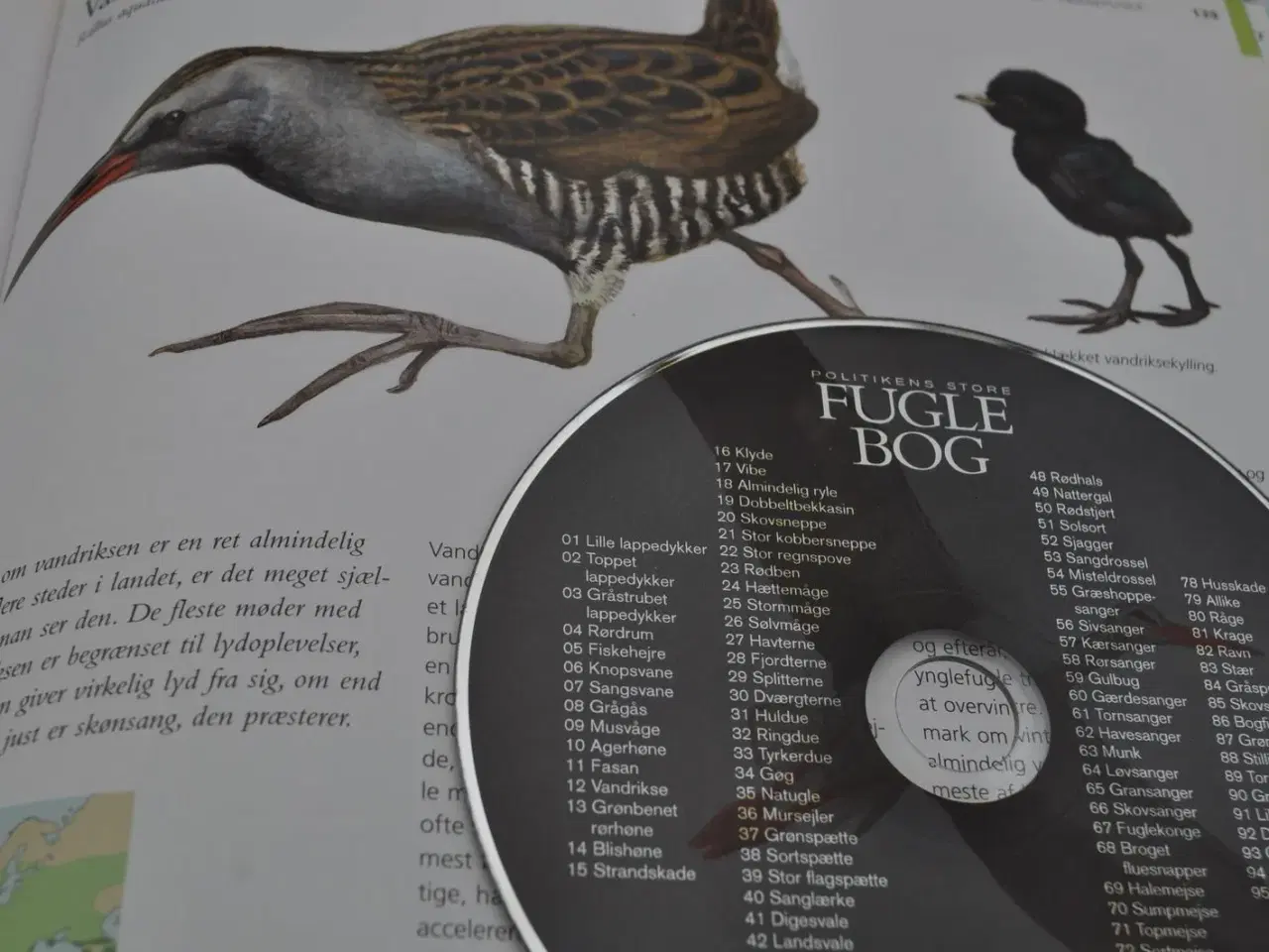 Billede 5 - Fugle og deres lyde på CD. Fantastisk!
