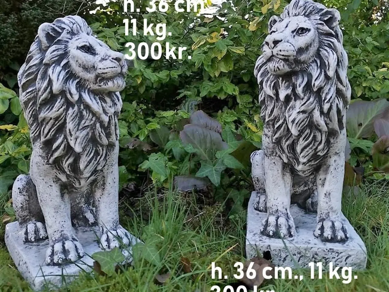 Billede 4 - Havefigur LØVE - MANGE MODELLER –majestætisk FIGUR
