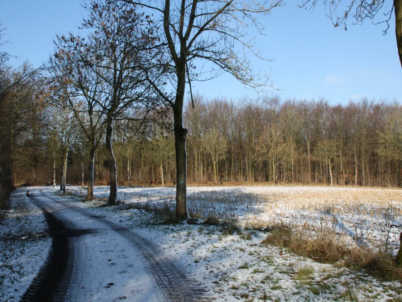 Billede 6 - Vinterdæk VW Up - Fulda 165/70 R14