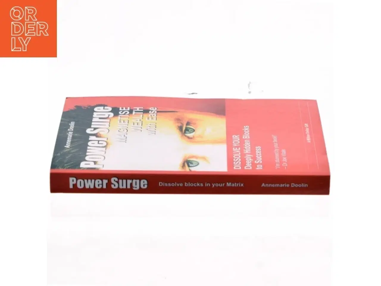 Billede 2 - Power surge : how to magnetise wealth with ease af Annemarie Doolin (Bog)
