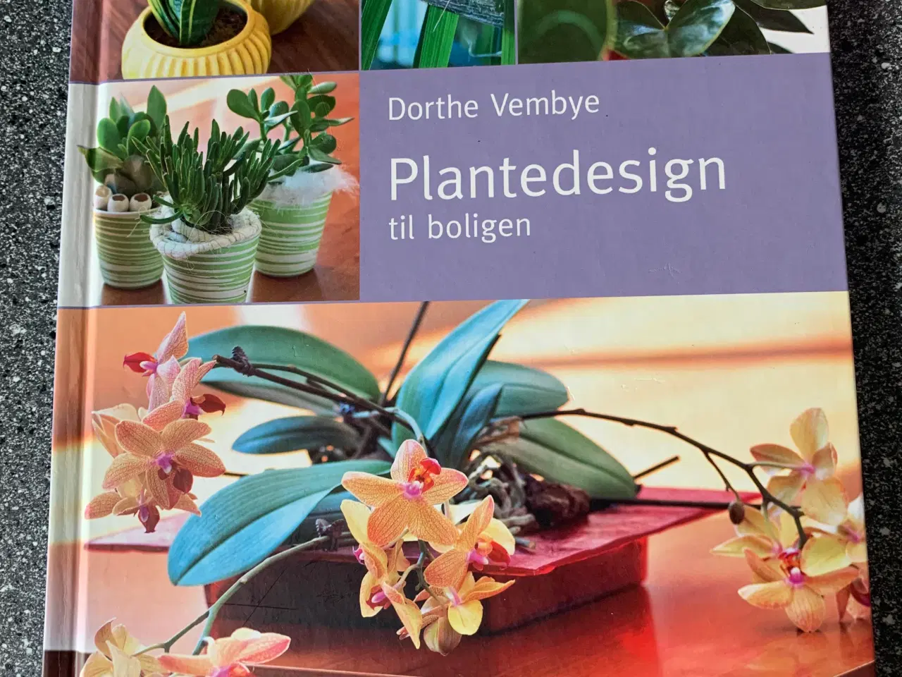 Billede 1 - Bog: plantedesign til hjemmet