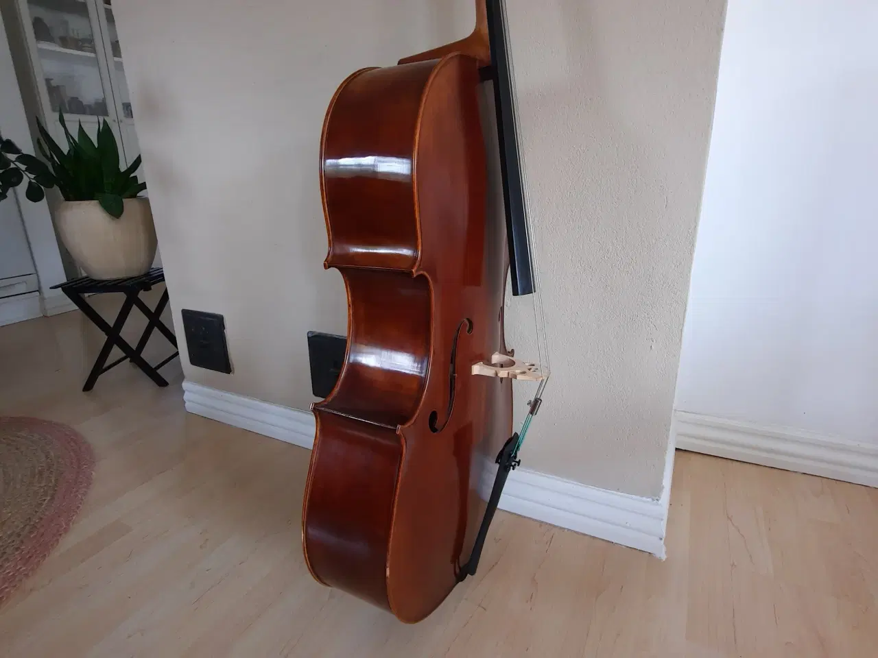 Billede 4 - Cello Gewa Maestro 6 - 4/4