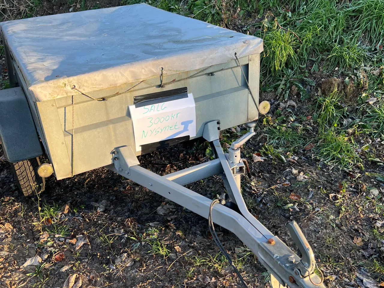 Billede 1 - Nysynet trailer