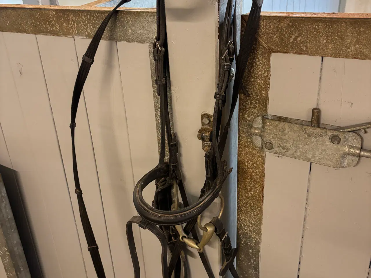 Billede 4 - 17” dressur sadel, samt trense str. full