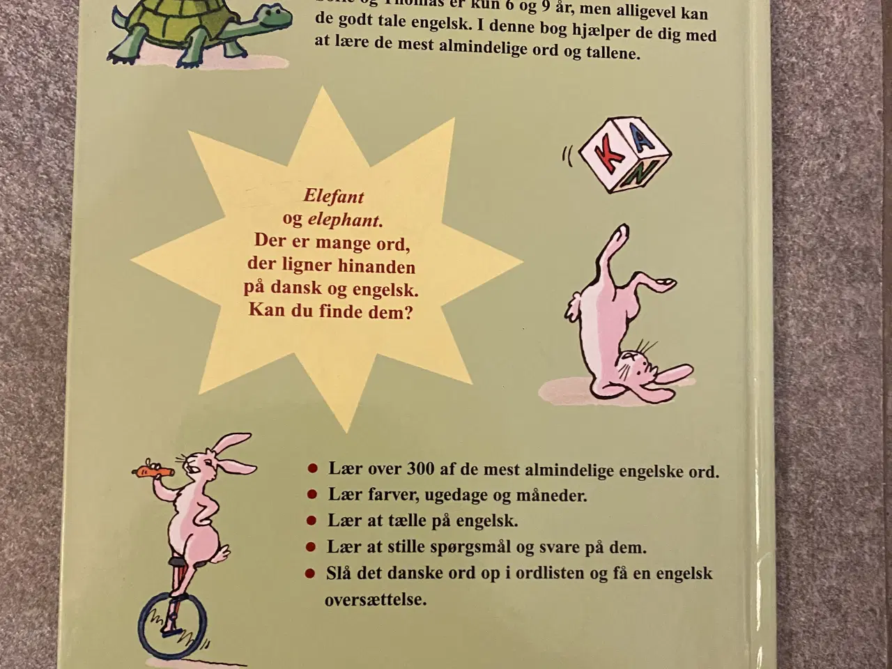 Billede 2 - Lær engelsk 