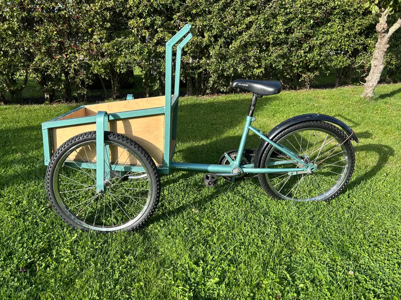 Billede 3 - Ladcykel 