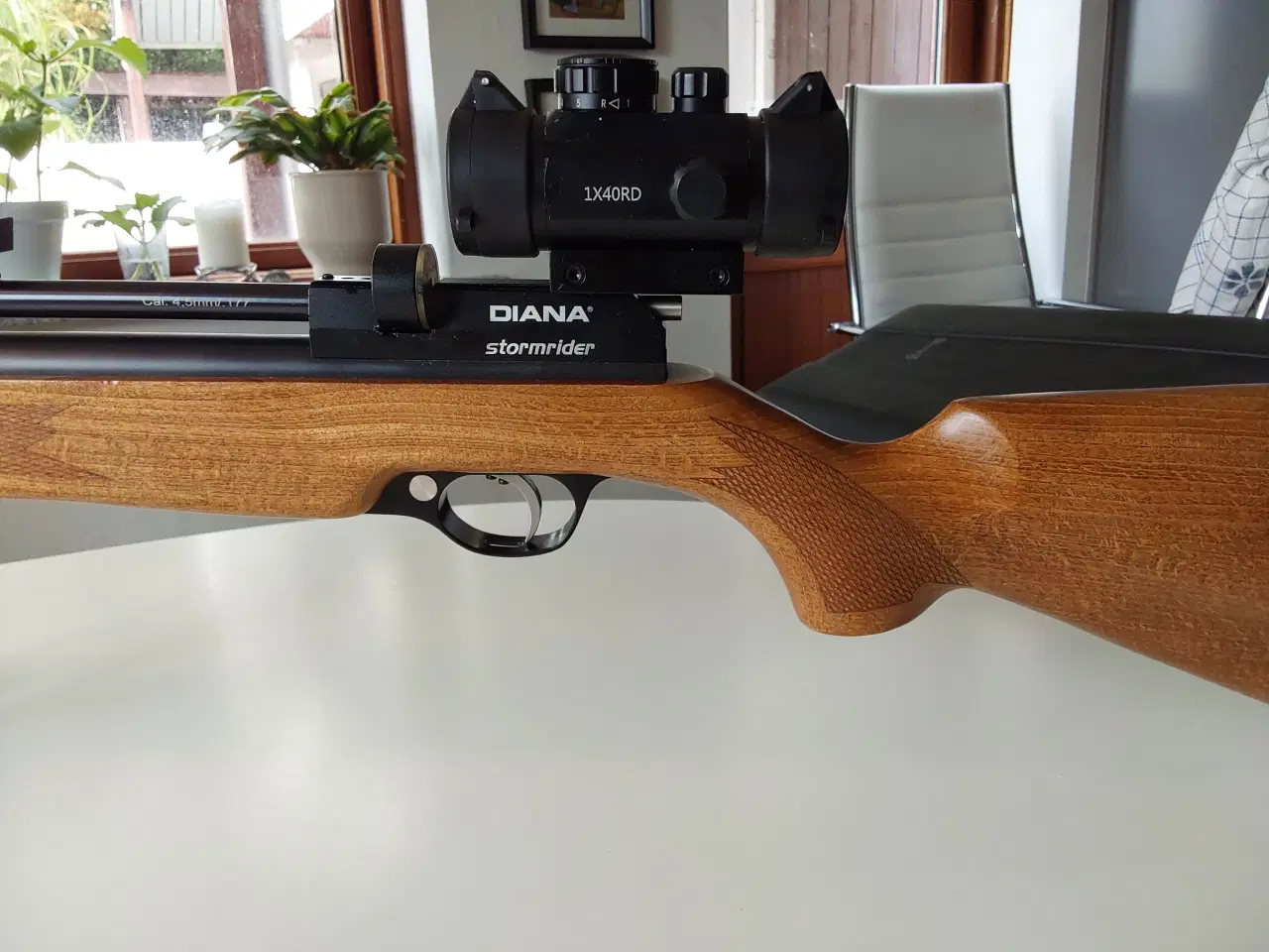 Billede 2 - Diana stormrider 