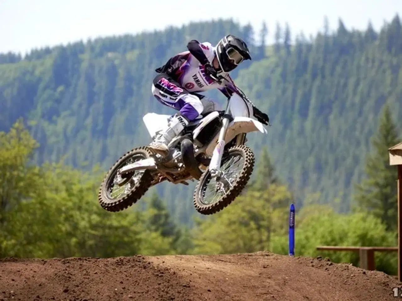 Billede 13 - Yamaha YZ 250 F 50th Anniversary Edition