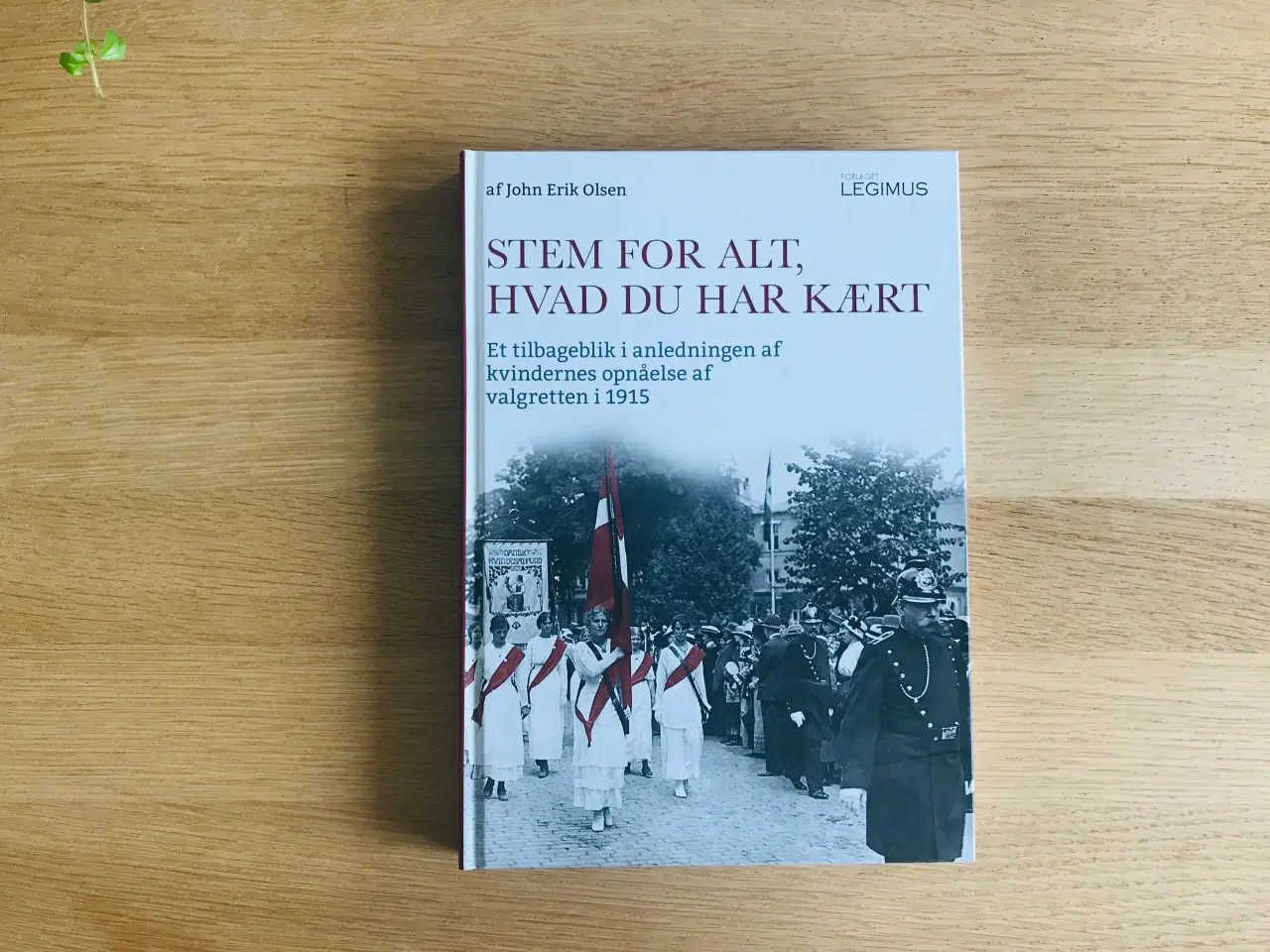 Billede 1 - Stem for alt, Hvad du har kært - John Erik Olsen