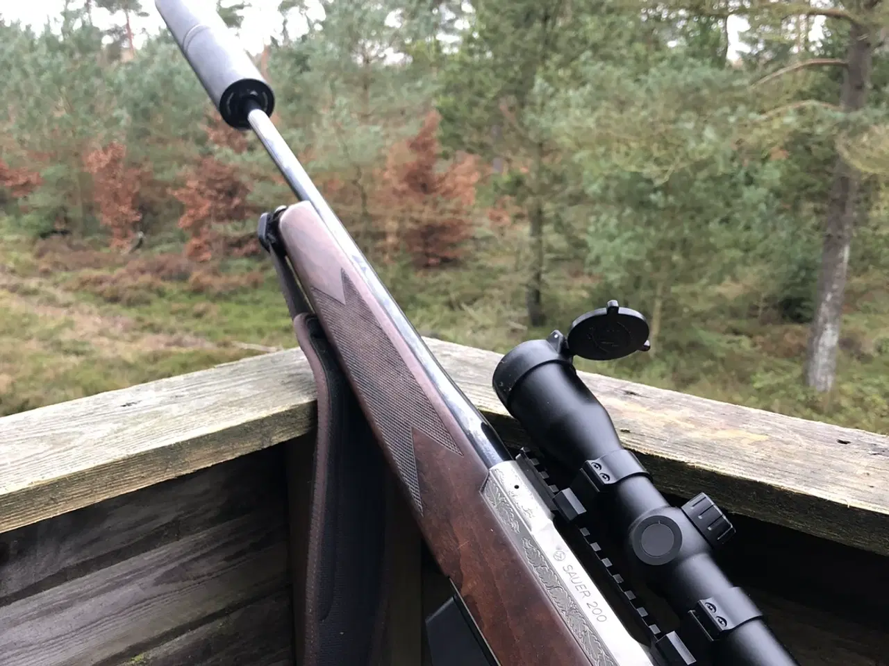 Billede 4 - Sauer 200 lux egeløv