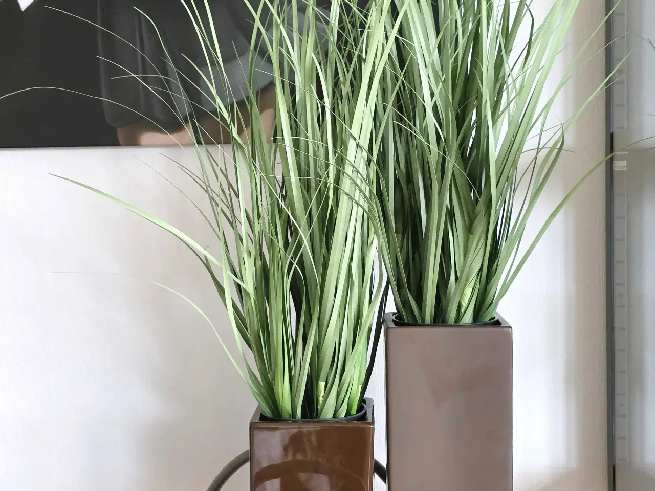 Billede 1 - 2 krukker Ib Laursen m/kunstige Poa græsser