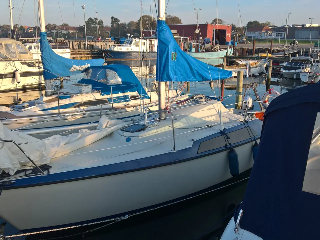 Billede 1 - Forårsklar Maxi77 sælges