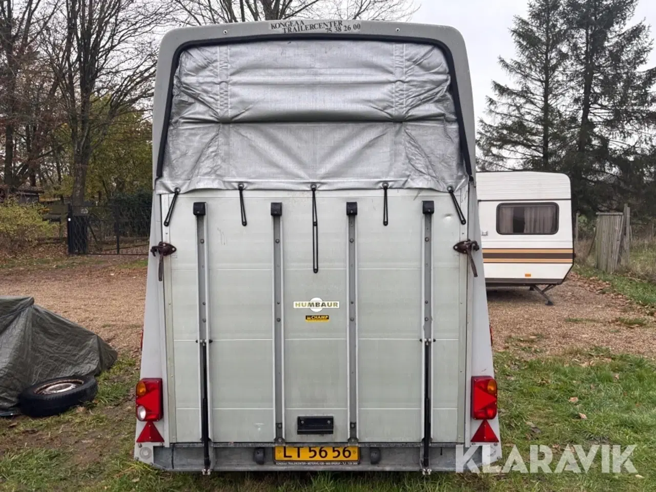 Billede 6 - Hestetrailer Humbaur Rapid Carrus aluminiums trailer