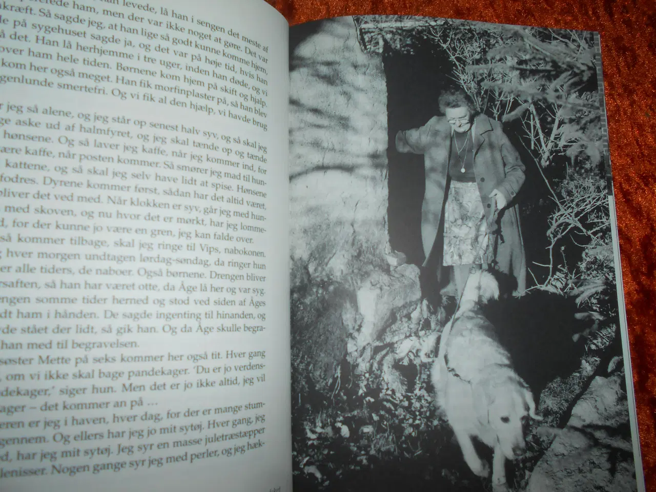 Billede 2 - Bette Anna og andre historier, Søren Ryge Petersen