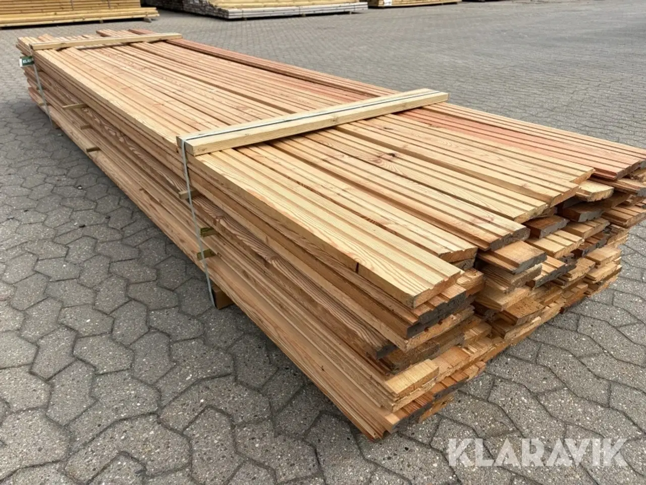 Billede 6 - Sternbradder Lærk - 130 styks