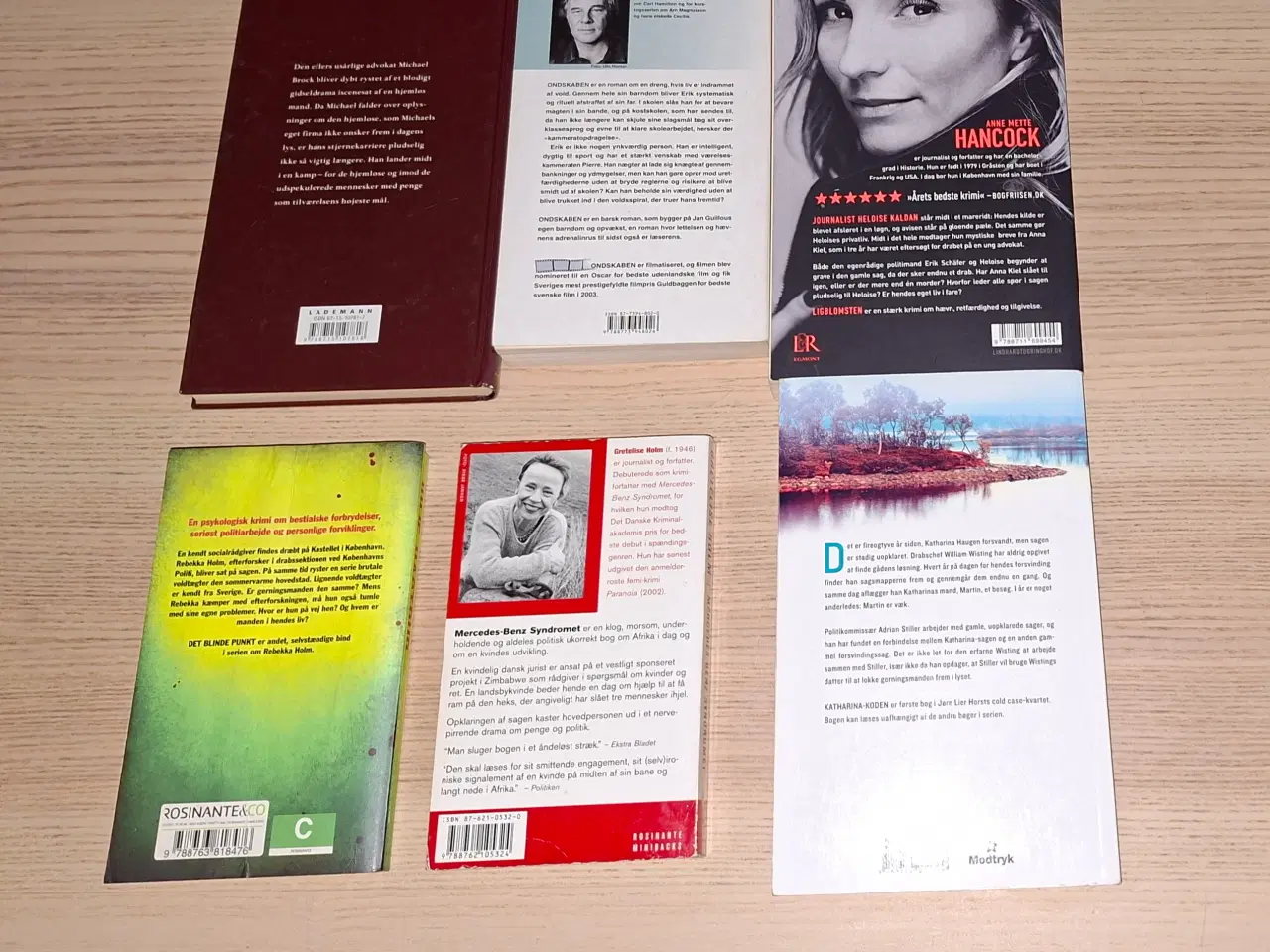 Billede 2 - Anne Mette Hancocok, Ligblomsten