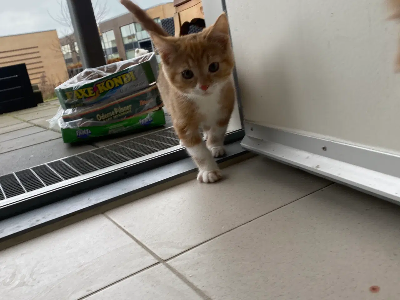 Billede 2 - Killinger 