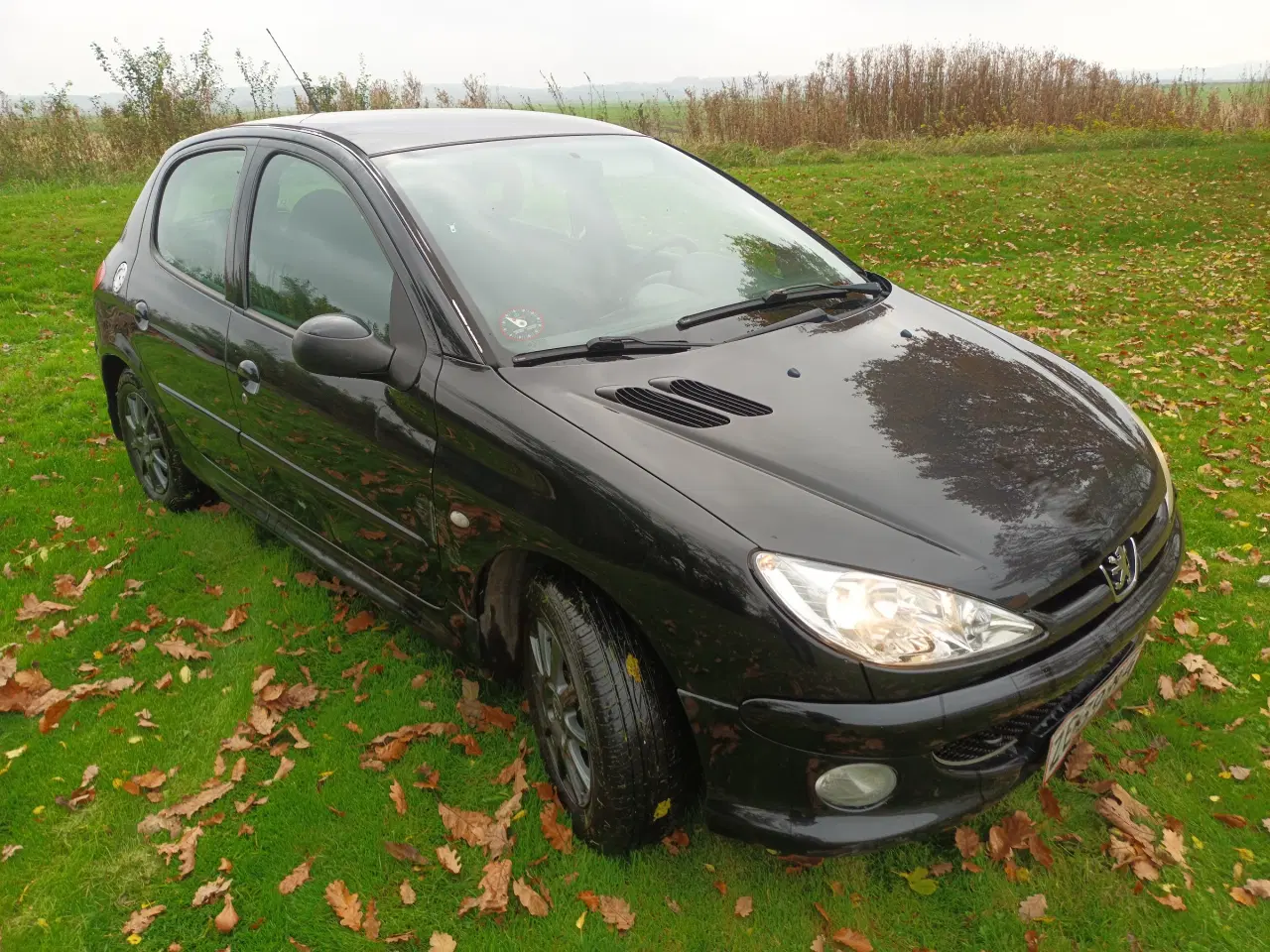 Billede 3 - Peugeot 206