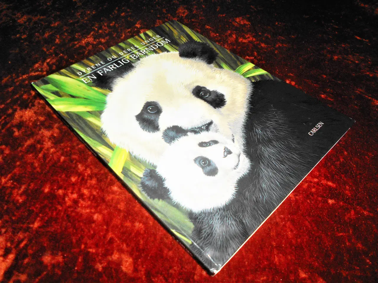 Billede 1 - En farlig barndom, Bernard Stonehouse,