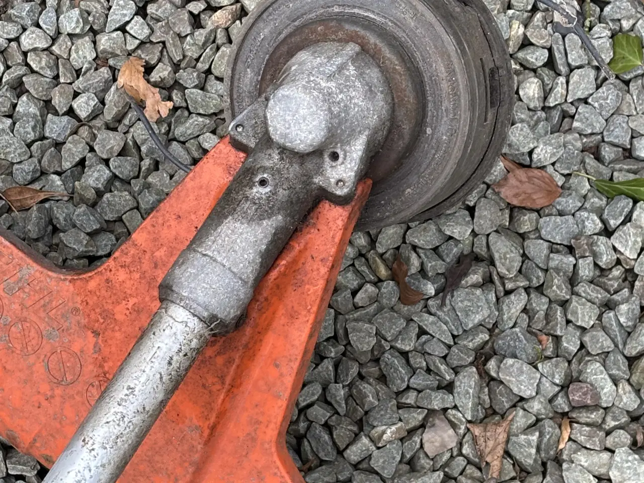 Billede 4 - Buskrydder